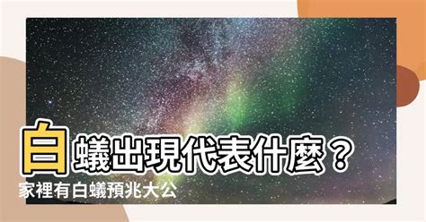 白蟻出現代表什麼風水|白蟻出現代表什麼？白蟻該如何根治？震陞除蟲專家推。